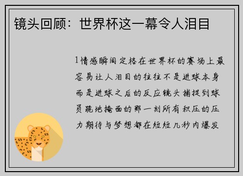 镜头回顾：世界杯这一幕令人泪目